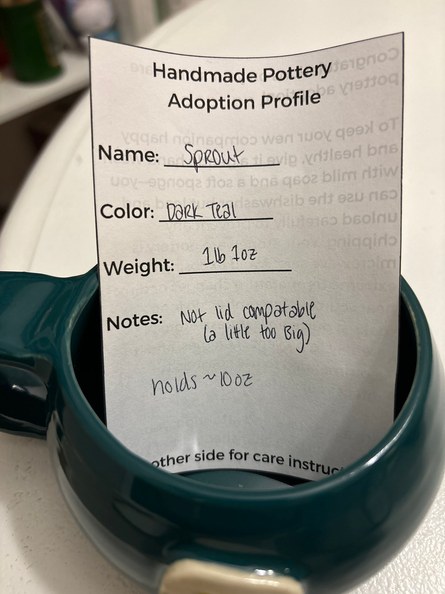 “Sprout” Teal Mug with Houseplants ~10oz