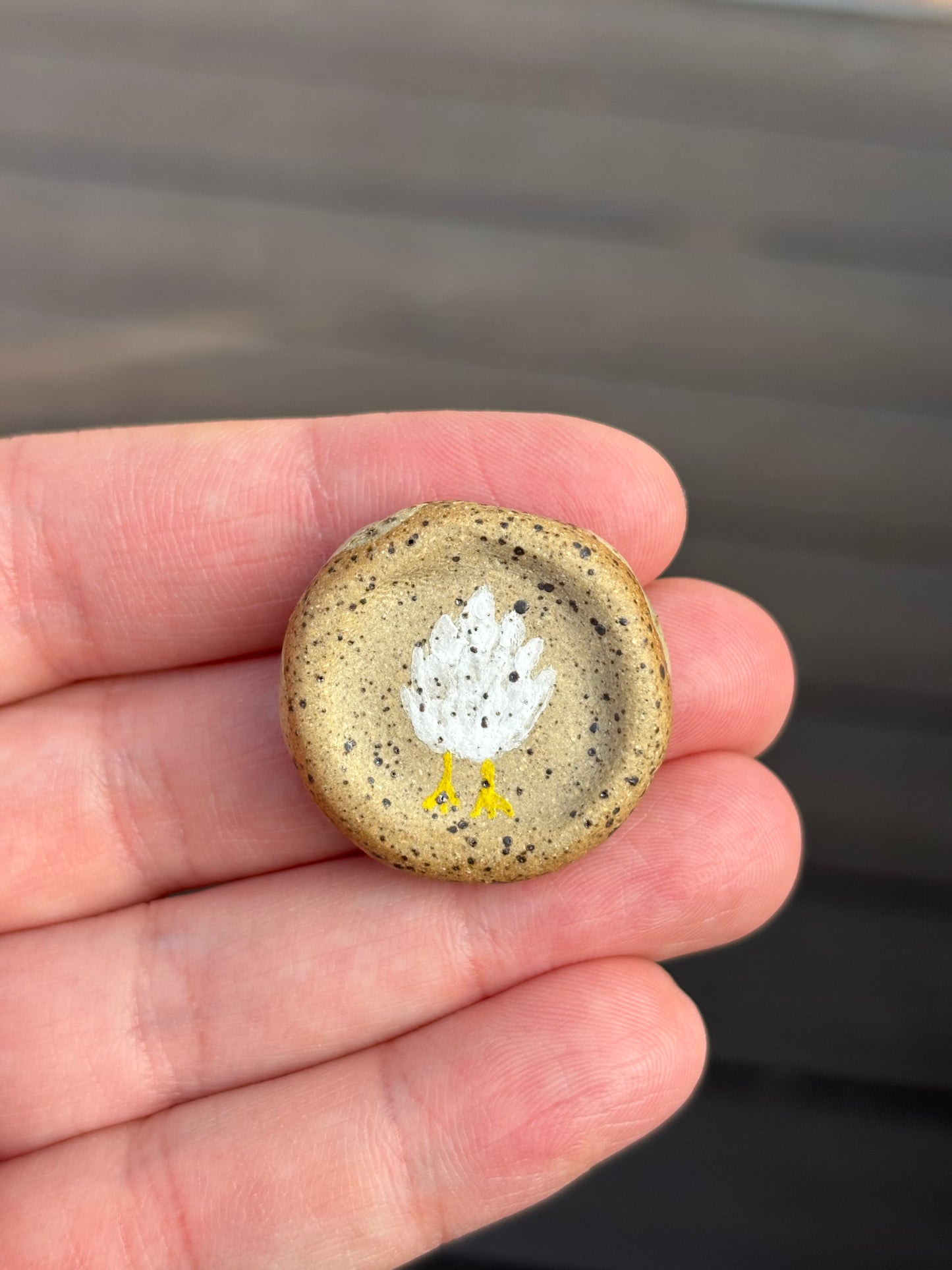 Decision/Affirmation Pocket Pebbles